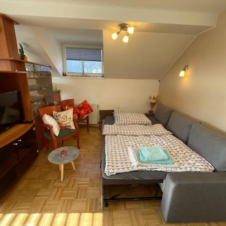 Apartment Kranj - Huge Terrace, Free P, Wi - Fi, Ac Bagian luar foto