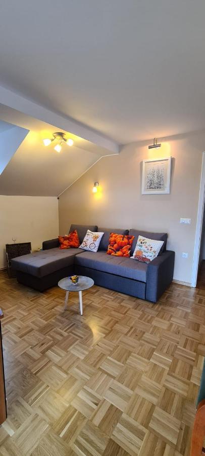 Apartment Kranj - Huge Terrace, Free P, Wi - Fi, Ac Bagian luar foto