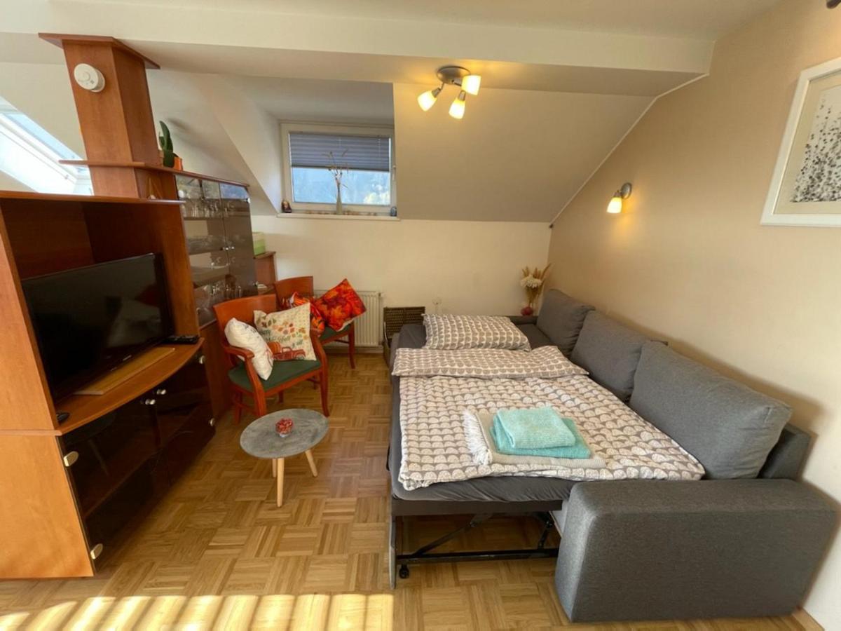 Apartment Kranj - Huge Terrace, Free P, Wi - Fi, Ac Bagian luar foto