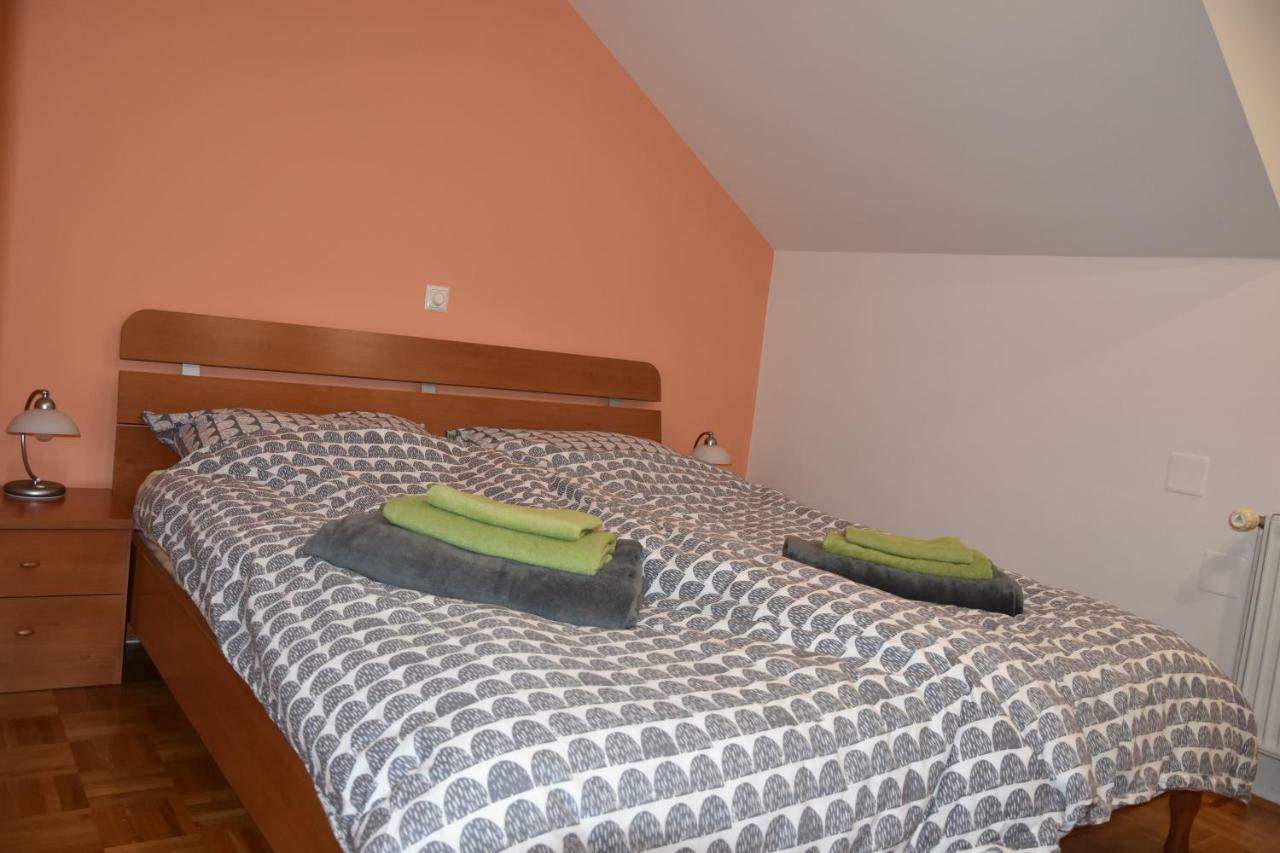 Apartment Kranj - Huge Terrace, Free P, Wi - Fi, Ac Bagian luar foto